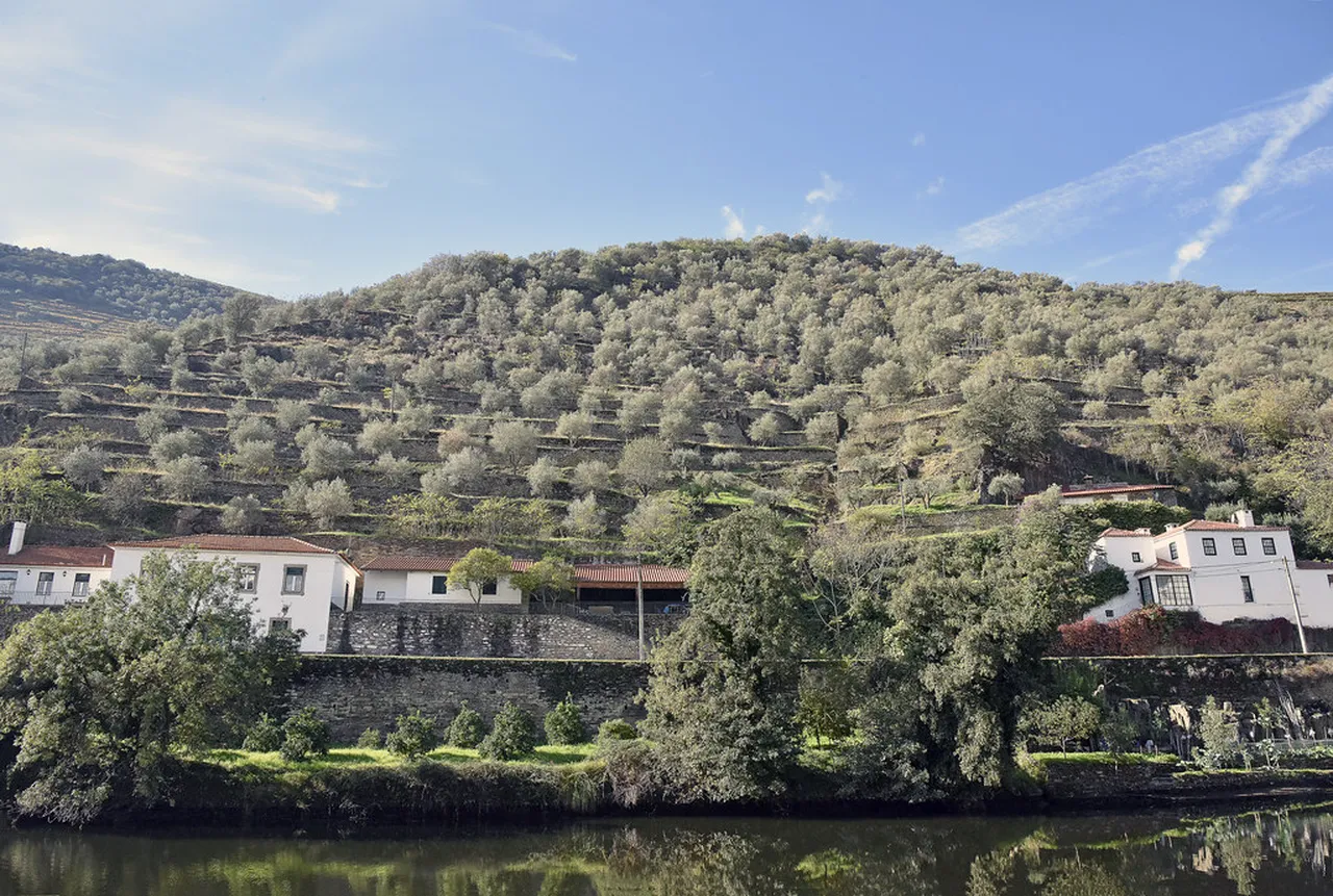 1. Discover the Scenic Views: A Cruise on the Douro River