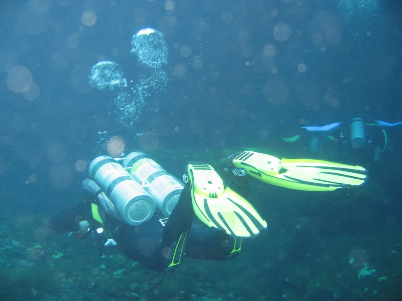 3. Exploring the Fascinating Cenotes Near Playa del Carmen