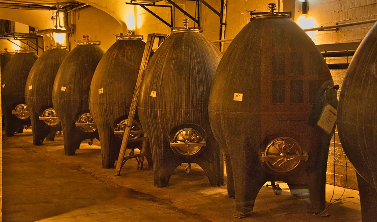 5. Visit the Historic Errol Flynn Marina: A Nautical Delight