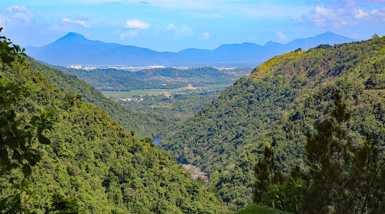 5. Join a Wildlife River Cruise: Spotting Crocs and Birds