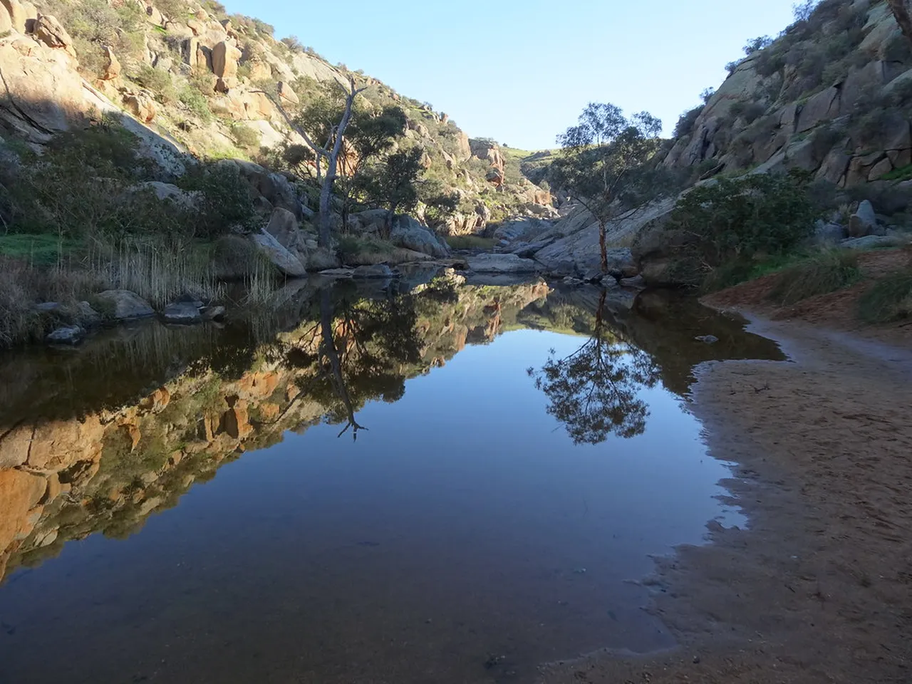 2. Discover the Natural Beauty of the Pretoria Botanical Gardens