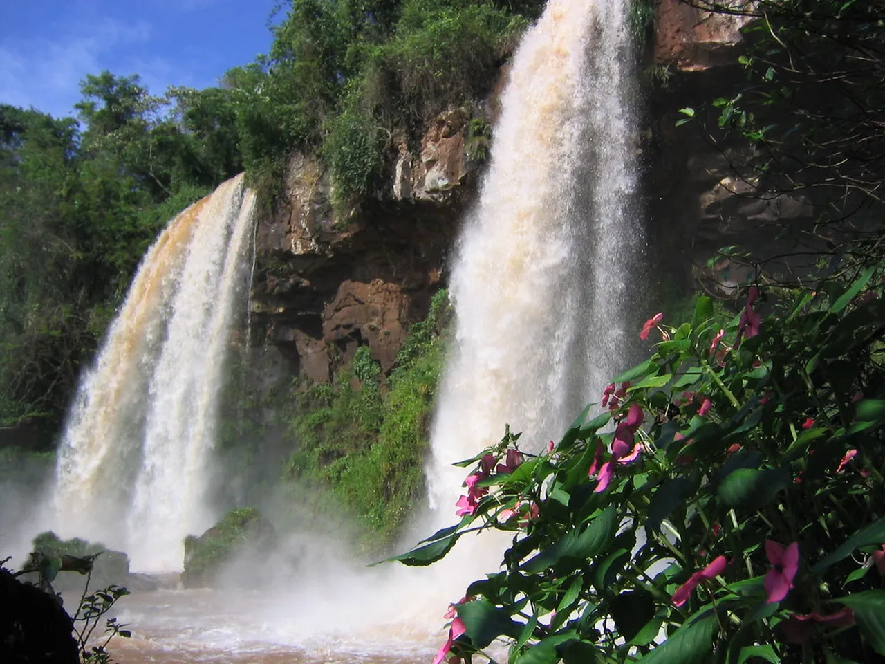 4. Discover the Rich Flora and Fauna on a Rainforest Tour