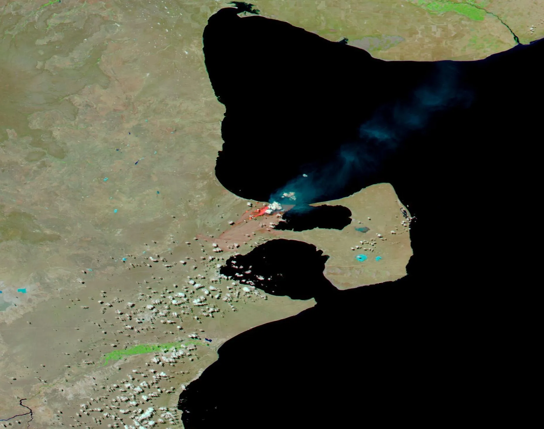 1. Whale Watching: A Majestic Encounter in Golfo Nuevo