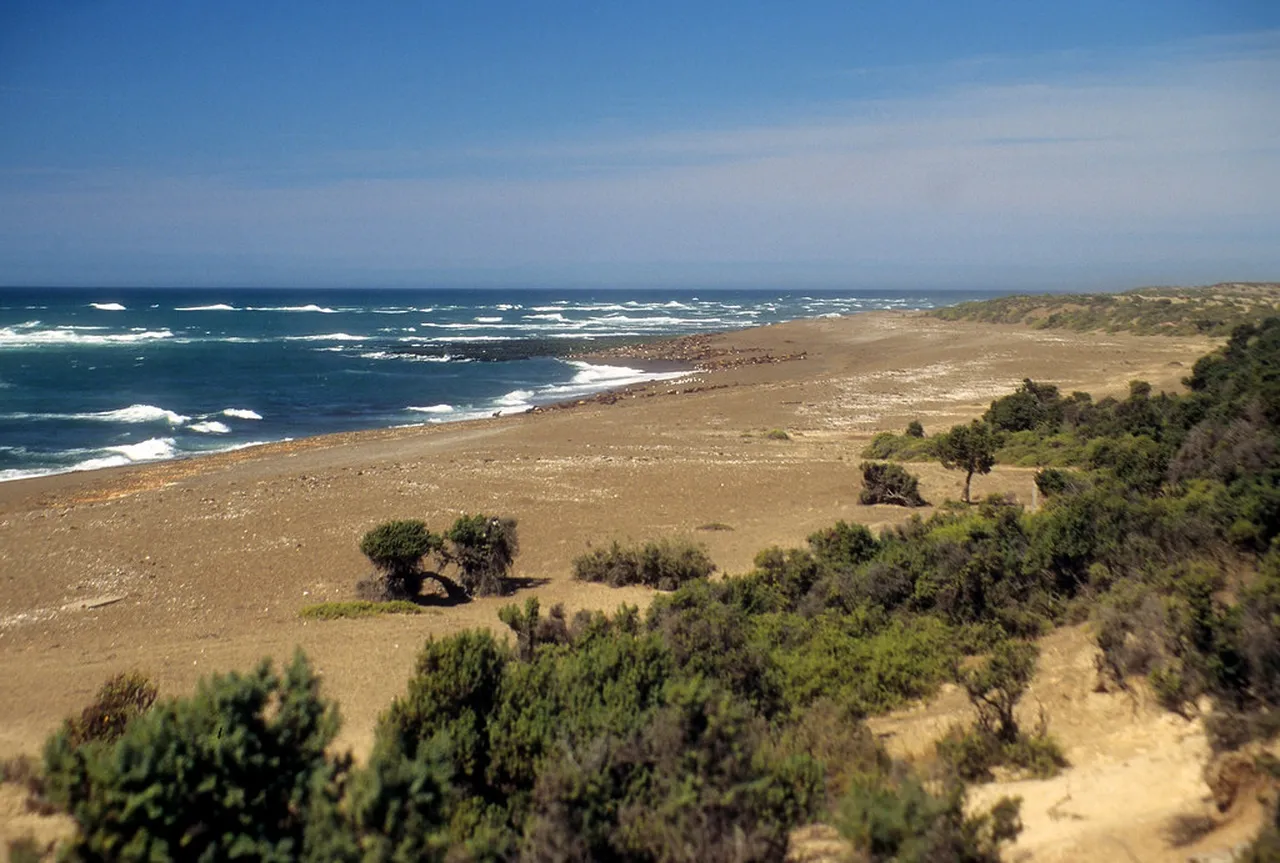 2. Discover the Peninsula Valdes: UNESCO World Heritage Site