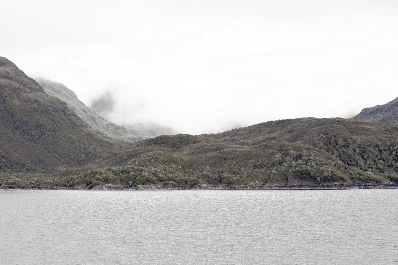 1. Indulge in Flavor: The Seafood Market Experience in Puerto Montt