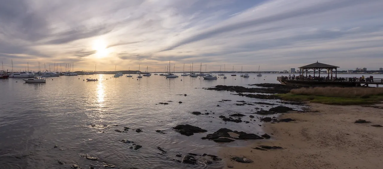 4. The Annual Punta del Este Jazz Festival: Melodies by the Coast
