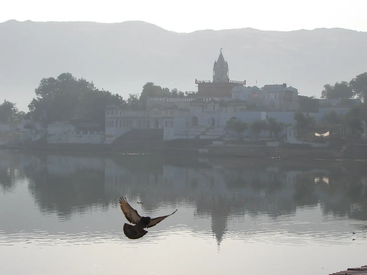 1. Witness the Spectacular Pushkar Camel Fair: An Annual Tradition