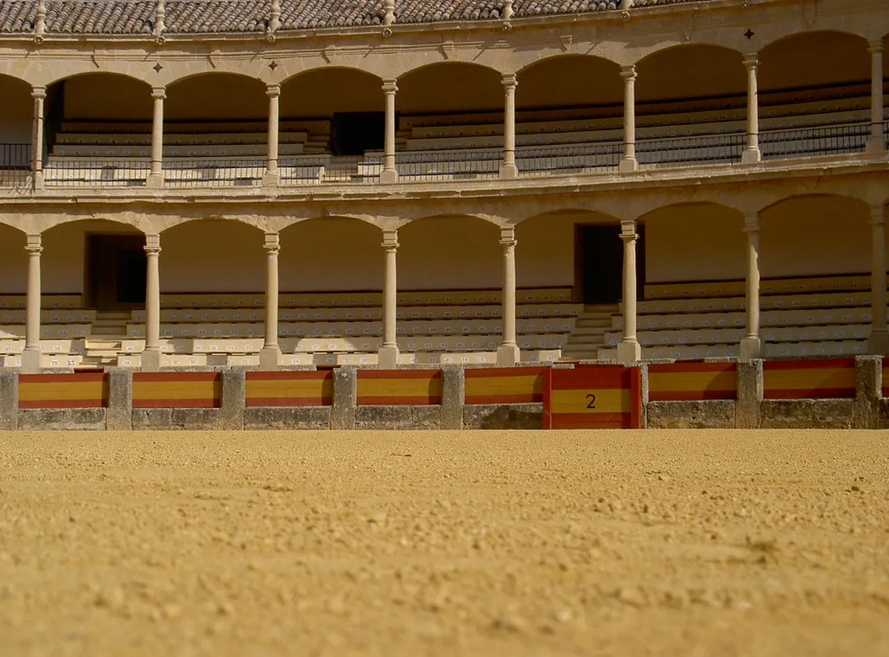 5. Culinary Delights: Traditional Dishes You Must Try in Ronda