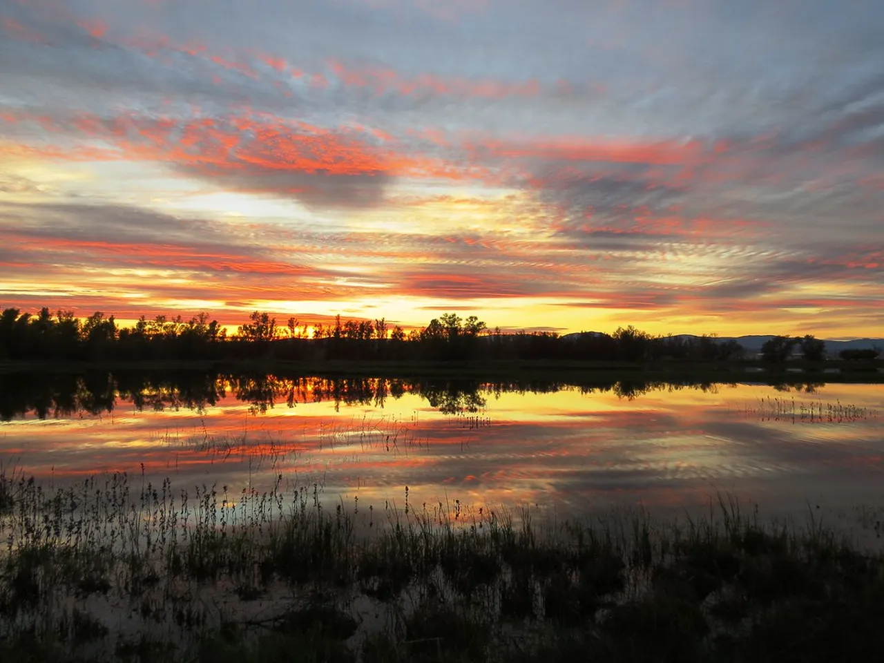 4. Biking the Sacramento River Trail: Scenic Views and Fresh Air