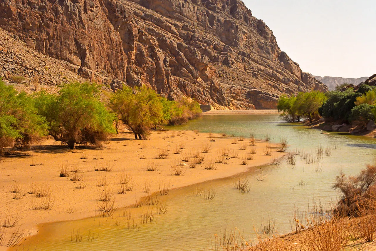 3. Experiencing the Unique Khareef Season: Nature’s Green Carpet