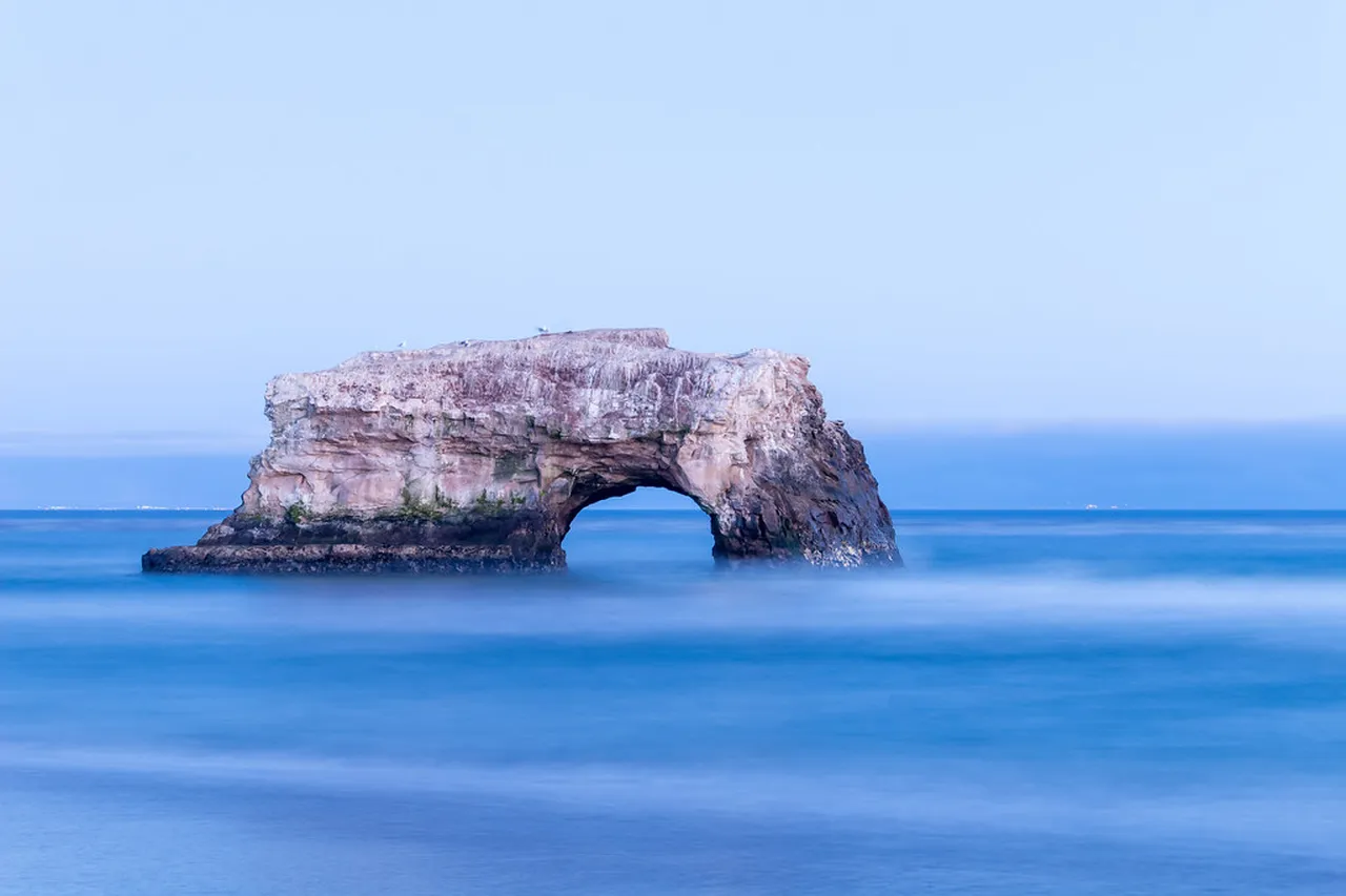 5. Experience the Magic of the Santa Cruz Wharf and Its Sea Life