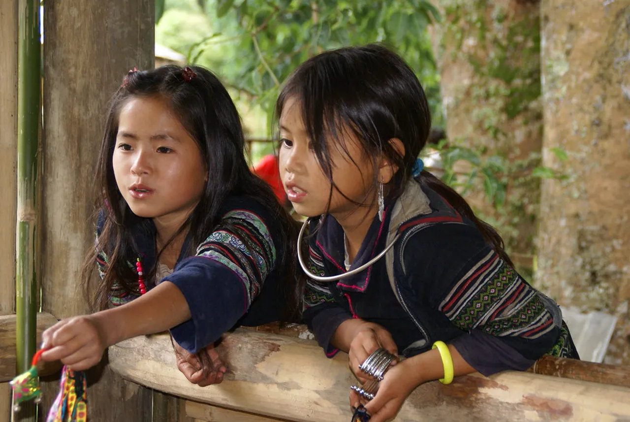 3. Homestays in Sapa: Experience Authentic Local Life