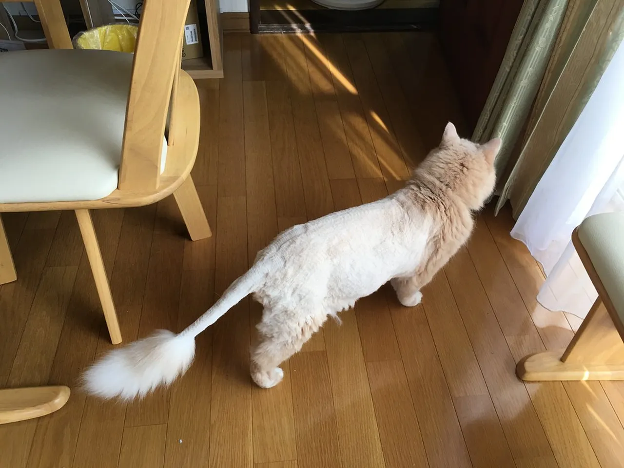 1. Enjoy the Sapporo Snow Festival: A Winter Wonderland