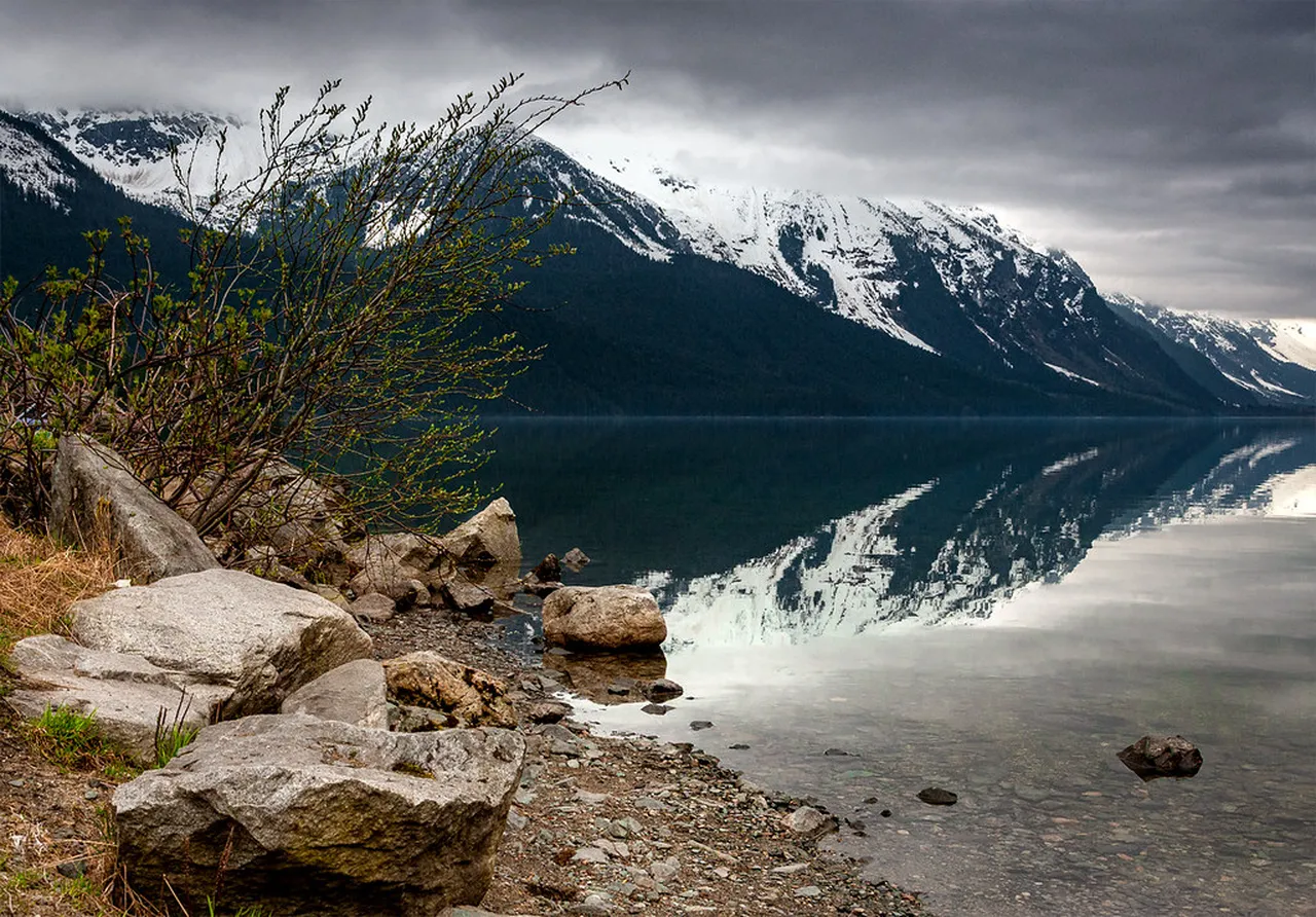 5. Scenic Cruises: Witness the Beauty of Kenai Fjords National Park
