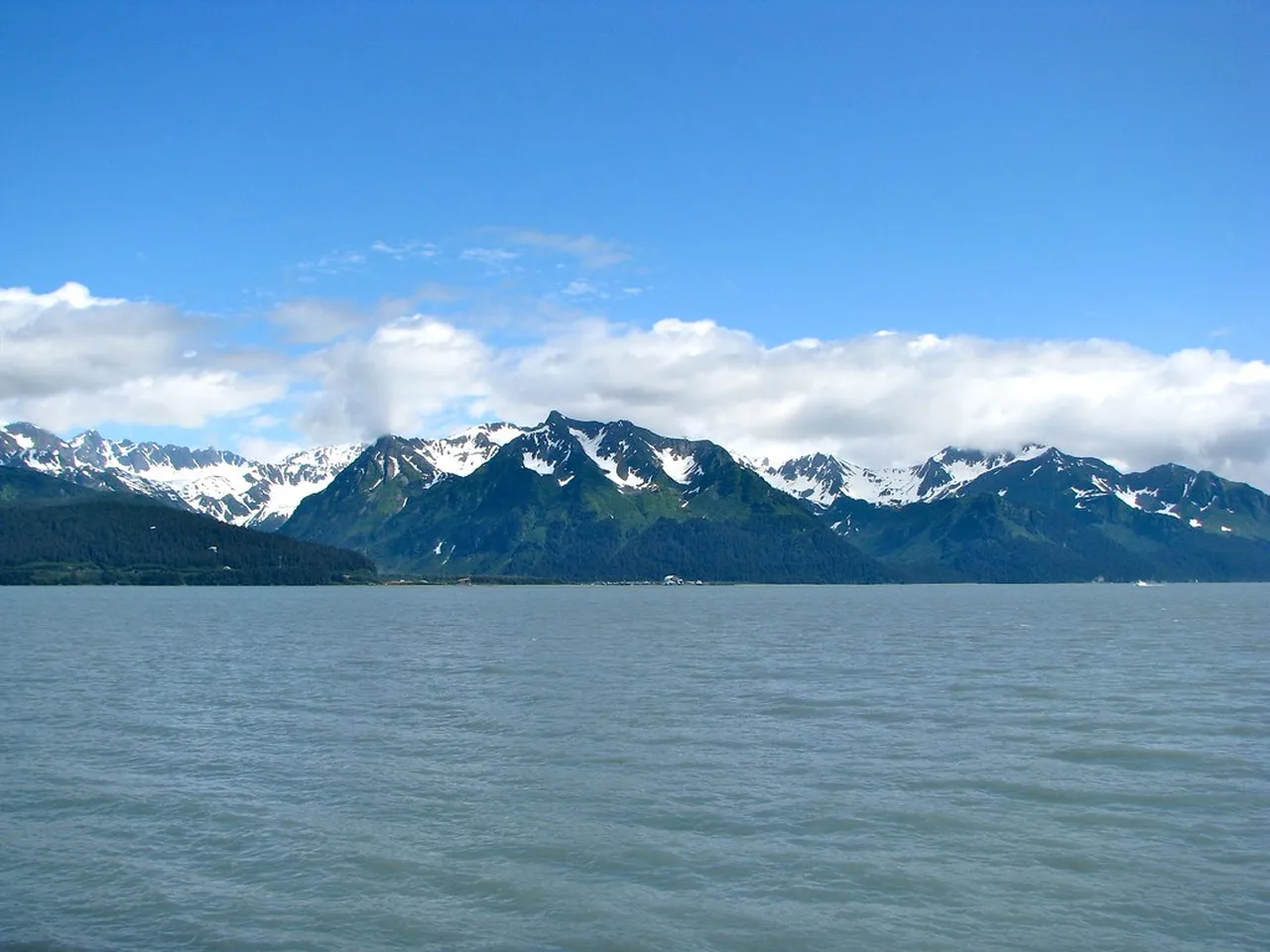 3. Seward Sealife Center: Explore Alaska’s Marine Ecosystem
