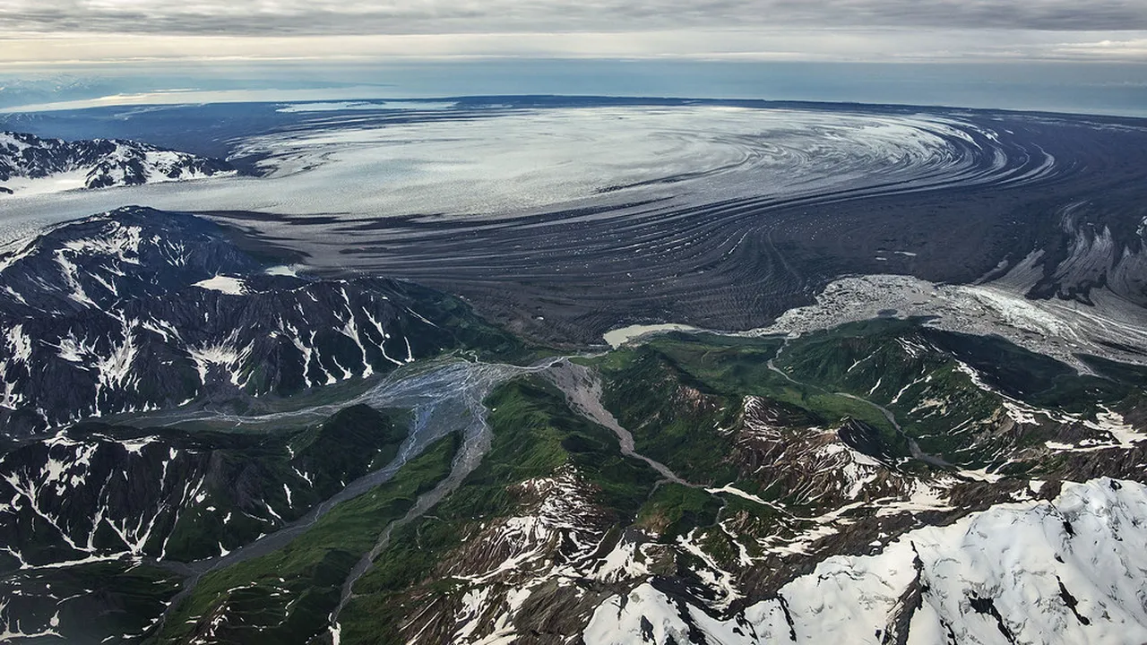 5. The Alaska SeaLife Center: Marine Education and Conservation