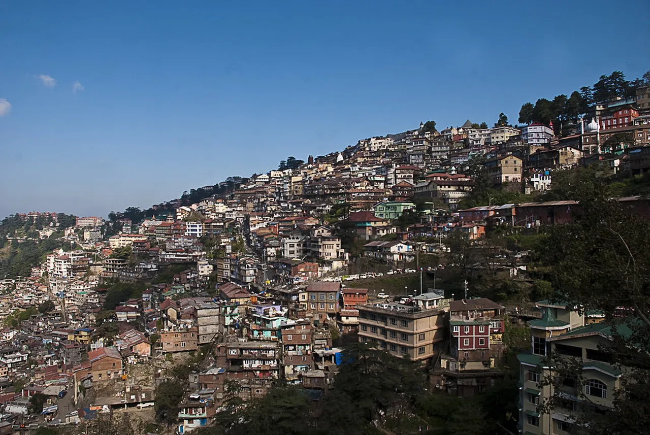 4. Paragliding Over the Stunning Landscapes of Shimla