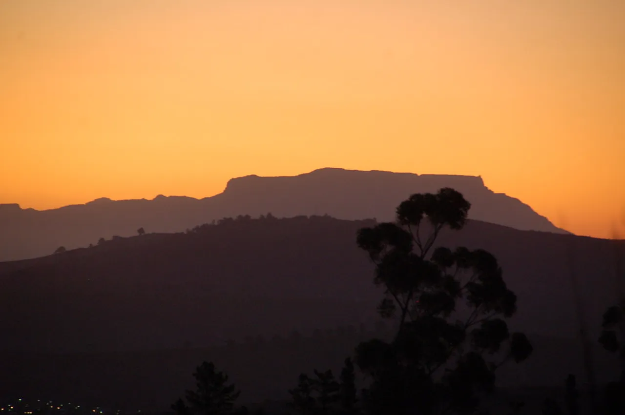 5. Uncover the Secrets of the Stellenbosch Botanical Garden