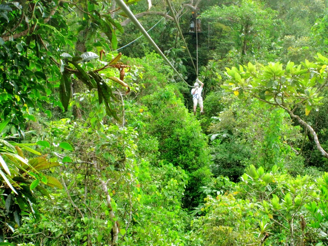 2. The Suva Carnival: A Festival of Rhythm and Culture
