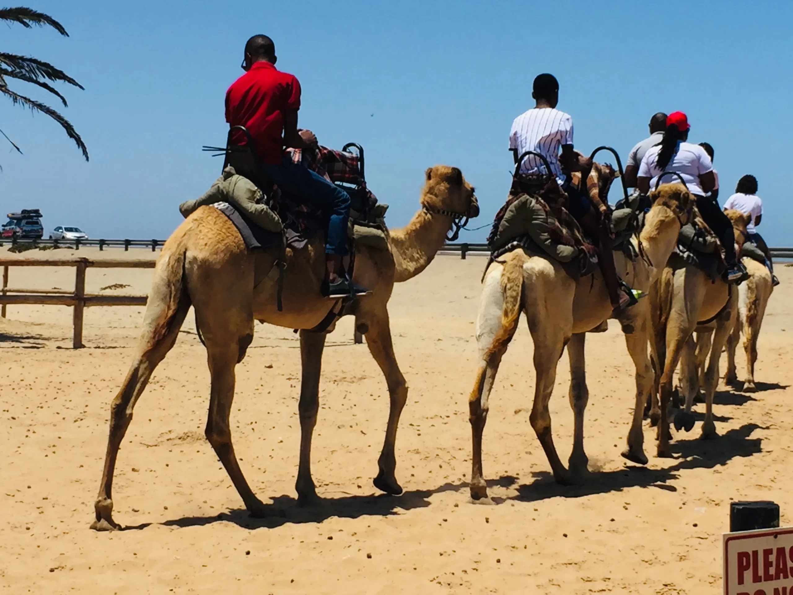 2. Exploring the Namib Desert: Scenic Dune Tours