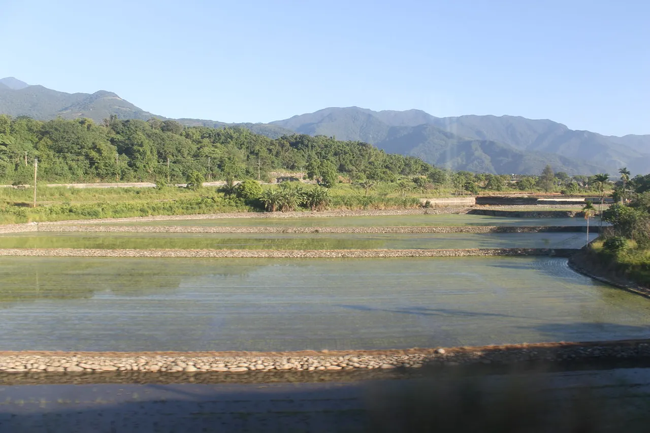 3. Relaxing at Beinan Cultural Park: A Historical Retreat
