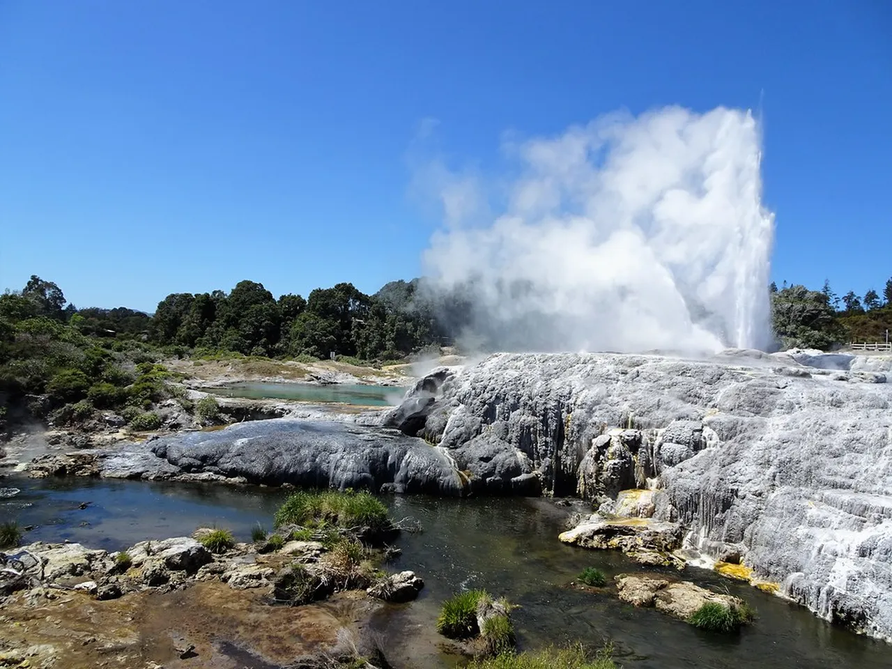 1. Bungee Jumping in Taupo: A Thrill-Seeking Experience