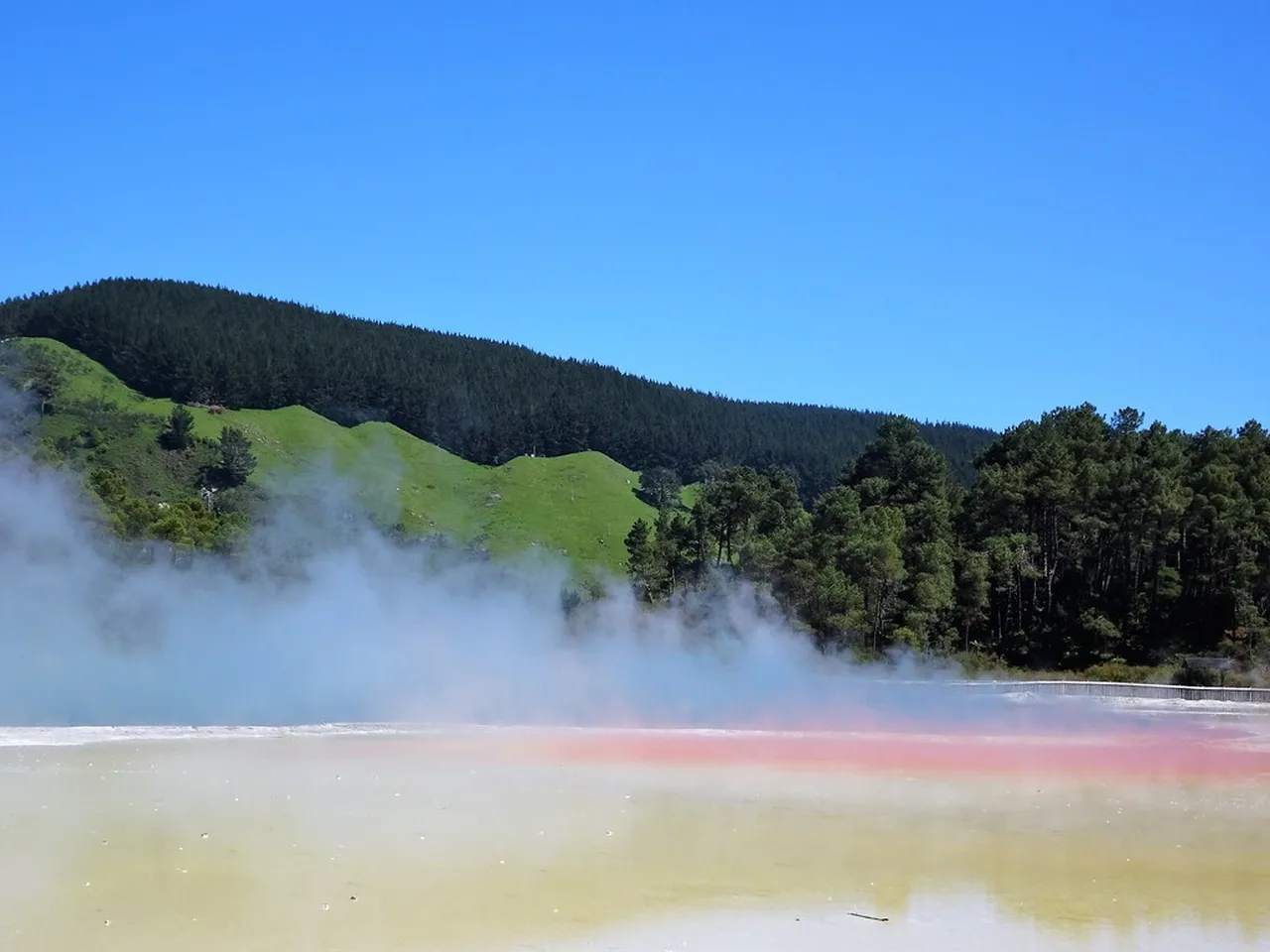 2. Adrenaline Rush: Bungee Jumping Over the Waikato River