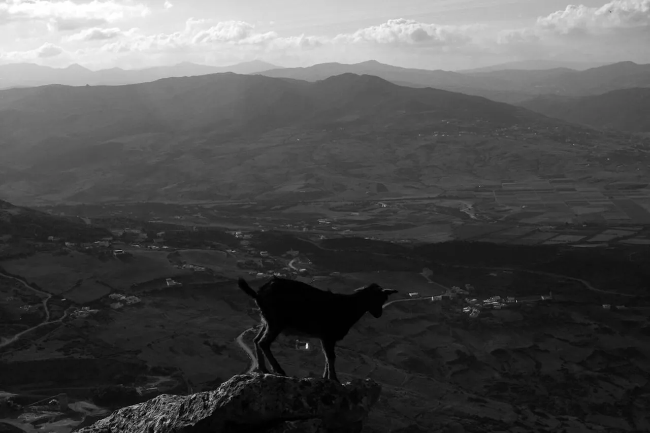 2. Enjoying the Breathtaking Views of the Rif Mountains