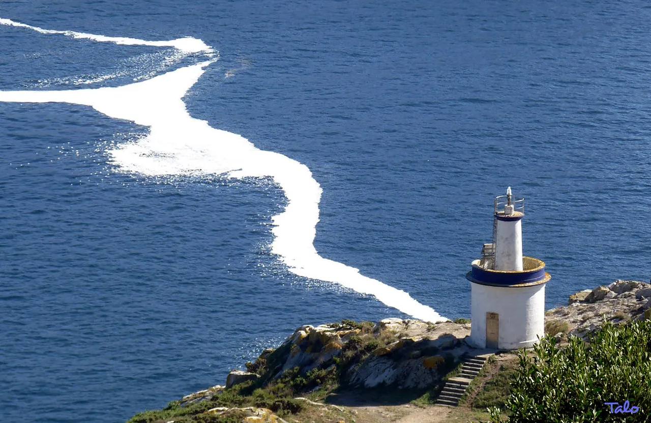 5. Mata Nacional dos Sete Montes: Nature and History Combined