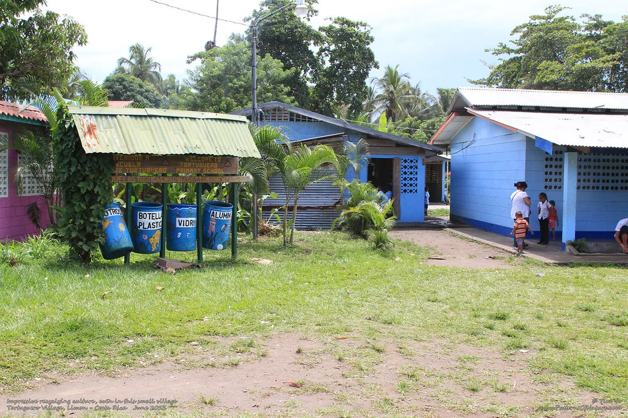1. Understanding Tortuguero Village Culture: A Brief History