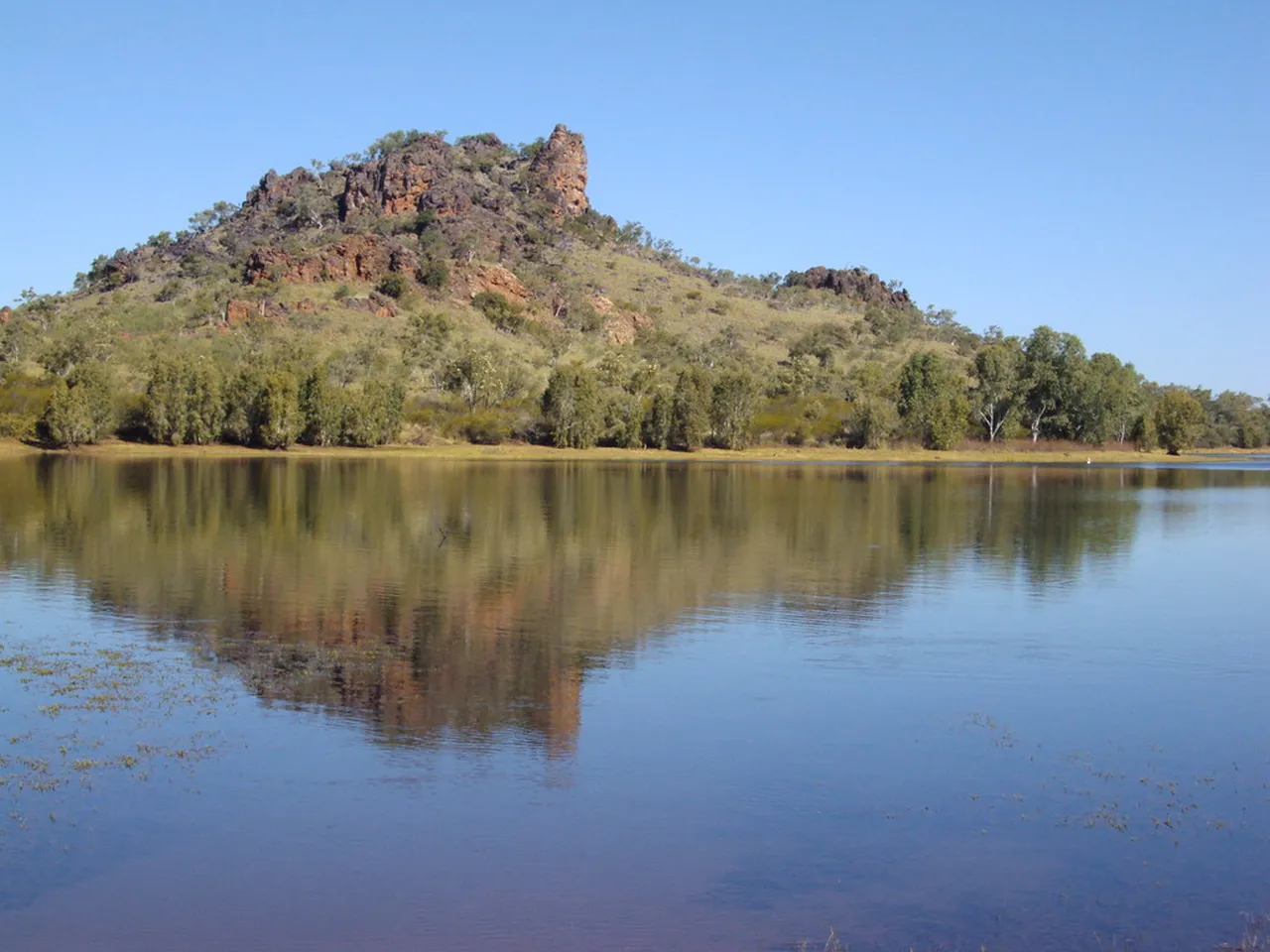 5. Attend the Townsville Arts Festival: Showcasing Local Talent