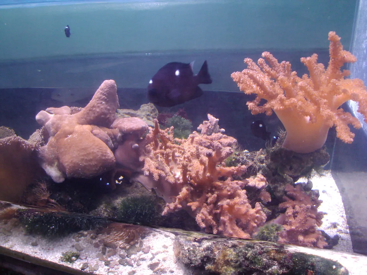 3. The Strand: Townsville’s Waterfront Paradise