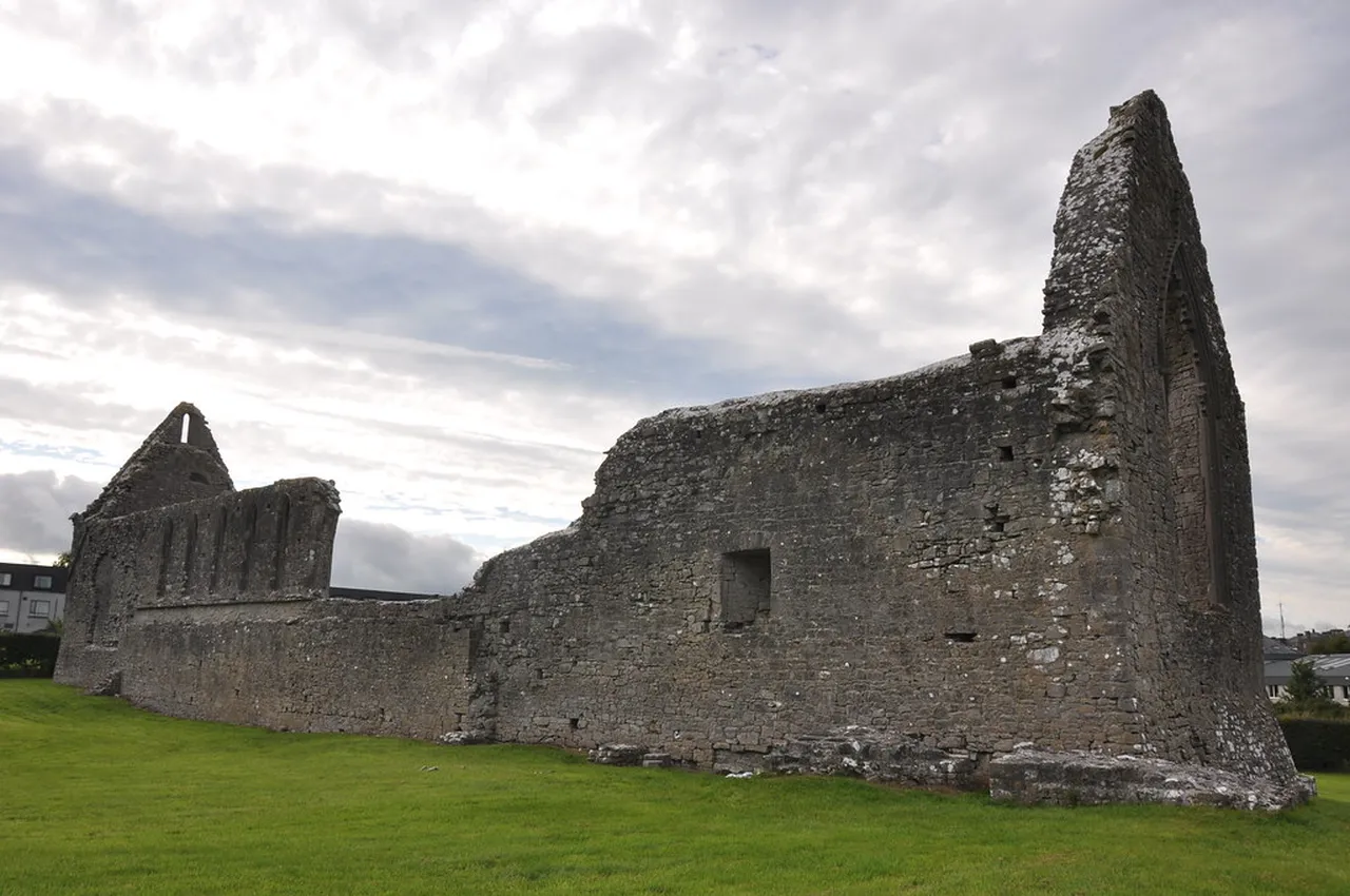 2. Discover Tralee Bay Wetlands: A Nature Lover’s Paradise