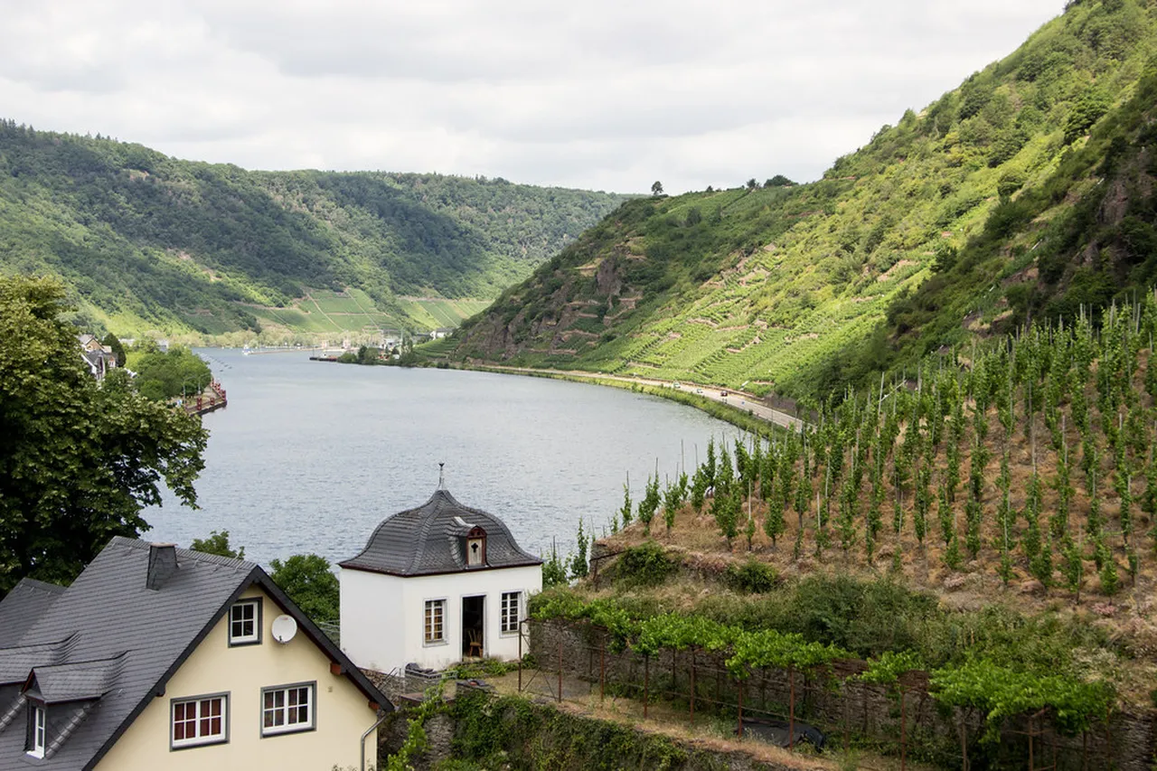 3. Trier Wine Tasting Tours: Savor the Region’s Finest Flavors