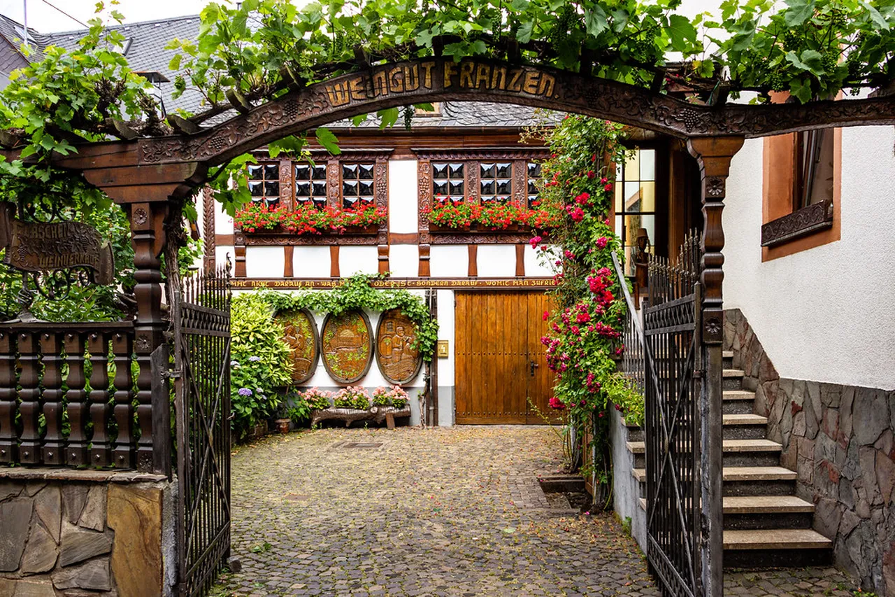 5. Taste Local Wine: A Journey Through Trier’s Vineyards