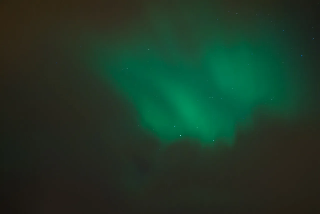 3. Explore the Polar Museum: Delve into Tromsø’s History