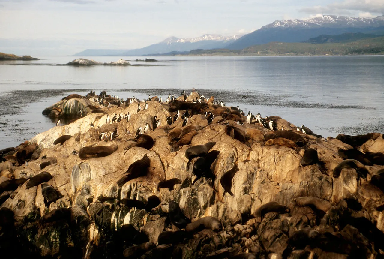 4. Glacier Martial: An Adventure Awaits for Hikers and Skiers