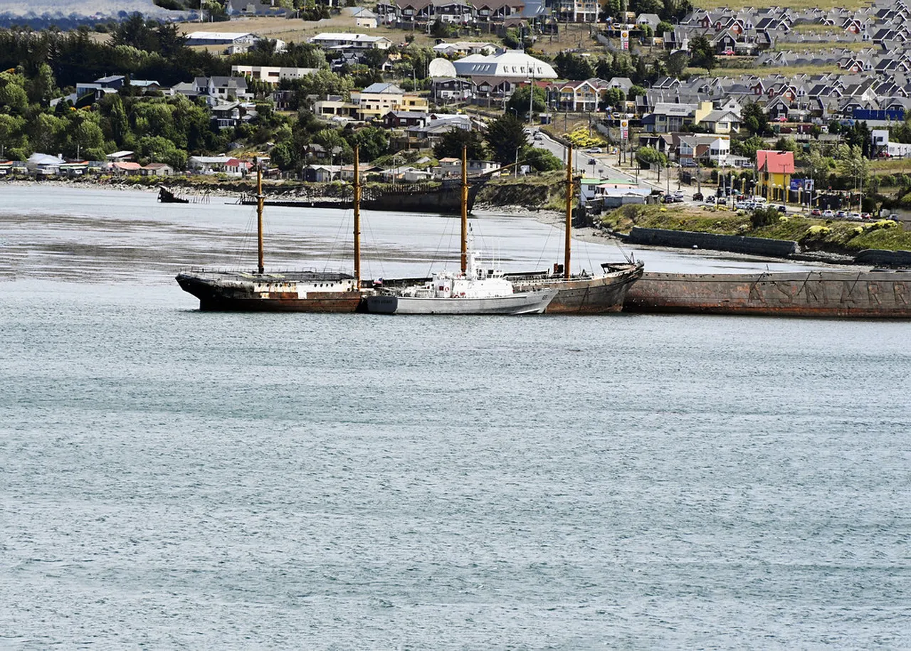 2. Boat Tours in the Beagle Channel: Wildlife Encounters and Scenic Views