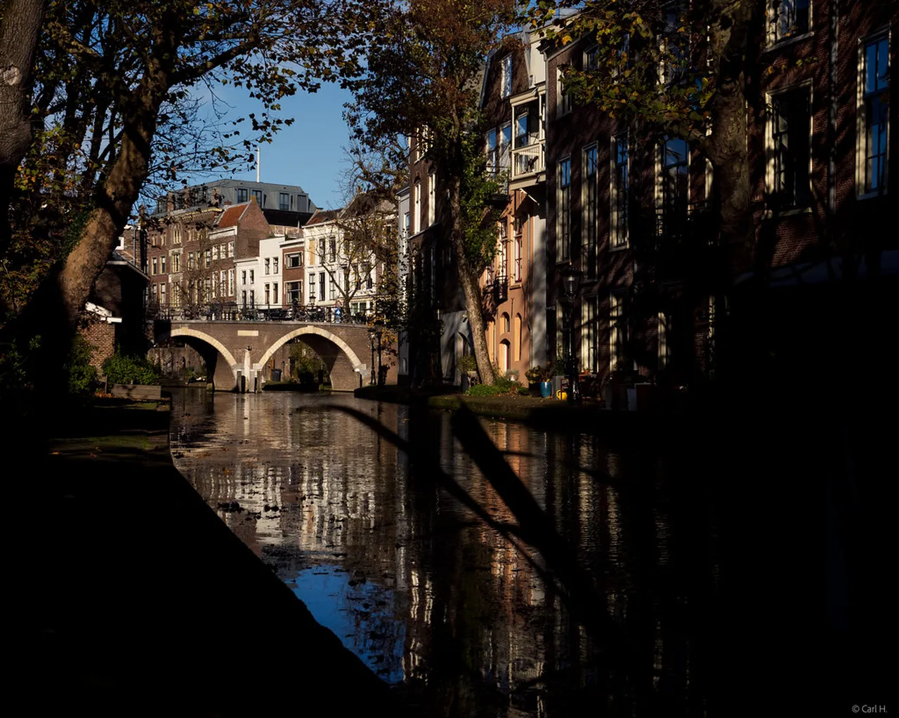 5. Discovering Utrecht’s Vibrant Street Markets: Savor Local Delicacies