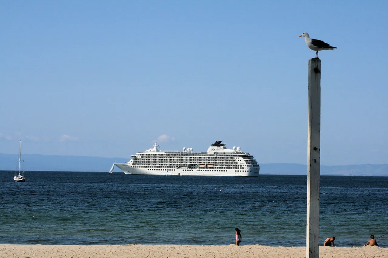 2. Experience the Annual Vladivostok Maritime Festival