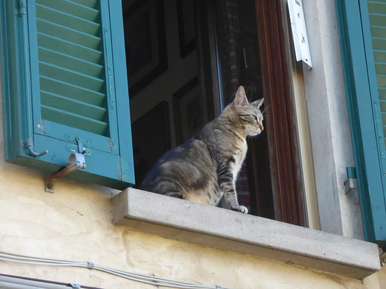 2. The Palio of Volterra: Celebrating Local Traditions and Community Spirit