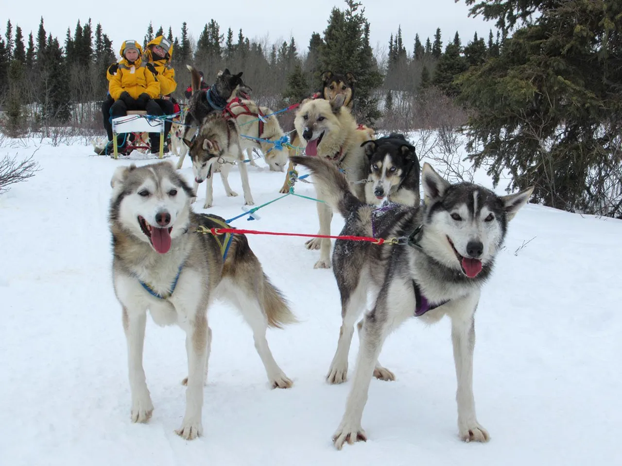 4. Venture into the Wilderness: Whitehorse Canoeing Experiences