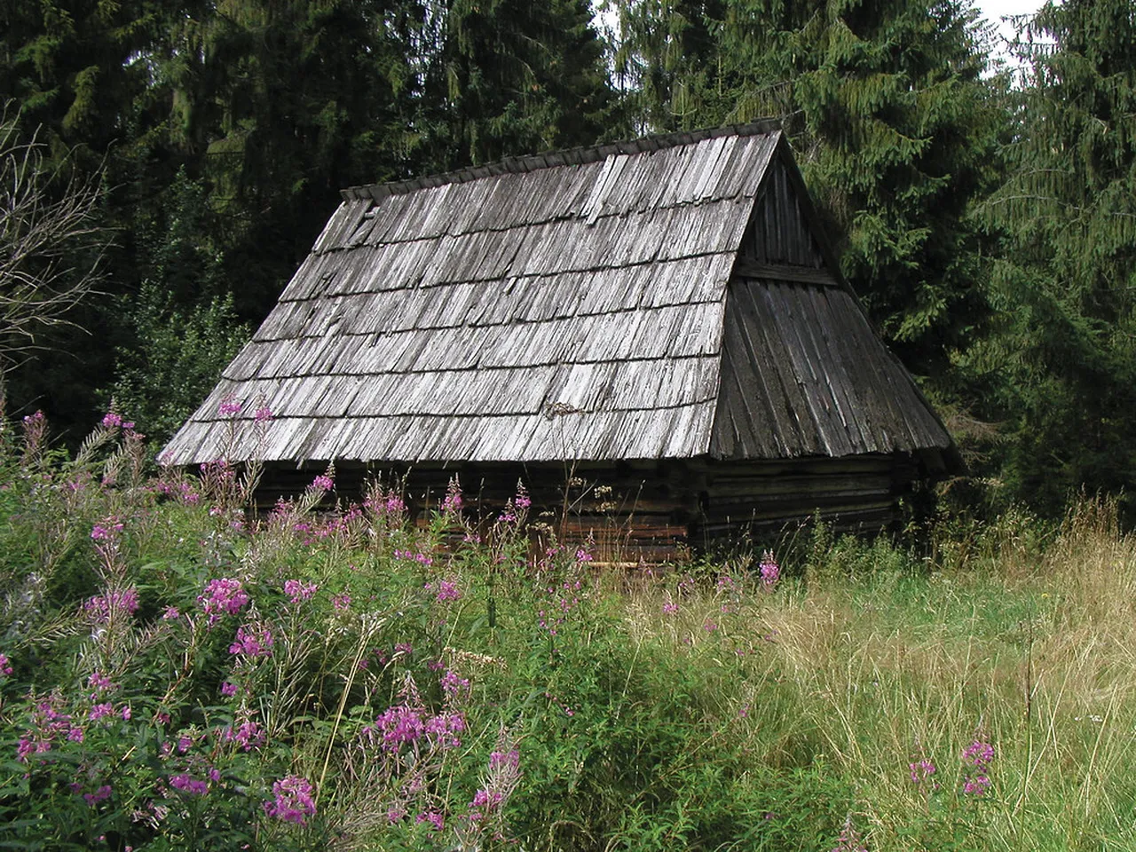 3. Folk Music and Dance: Celebrating Zakopane Culture