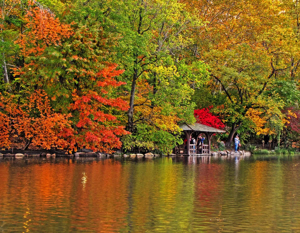 Fall Foliage (September to November)