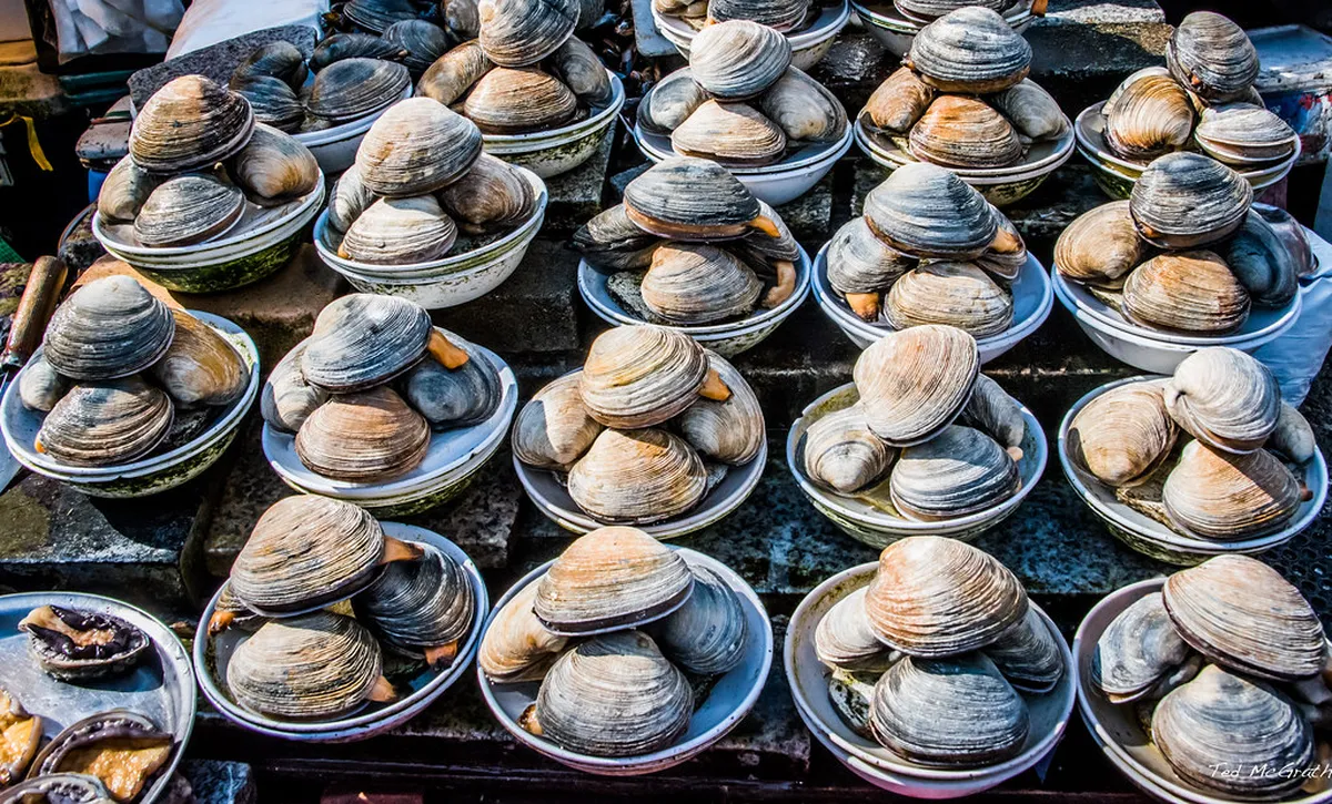Afternoon: Jagalchi Fish Market