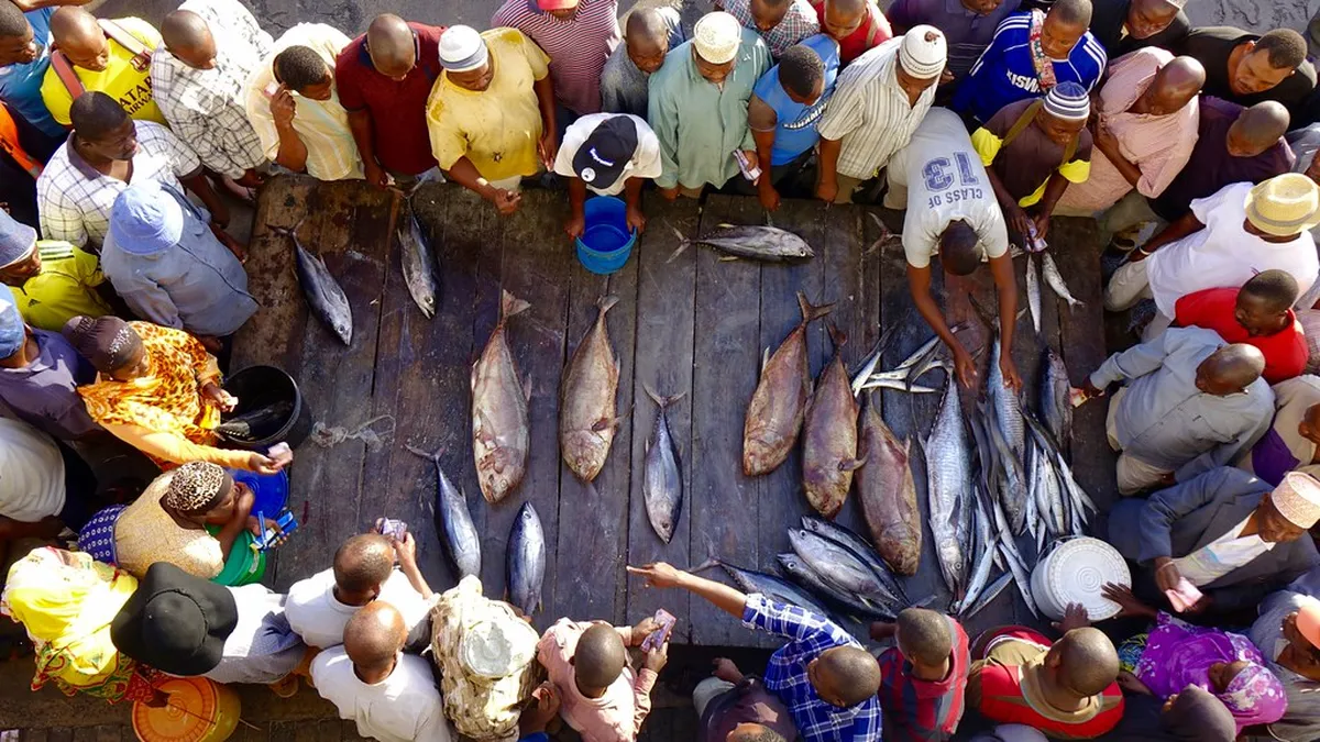 11am: Kivukoni Fish Market