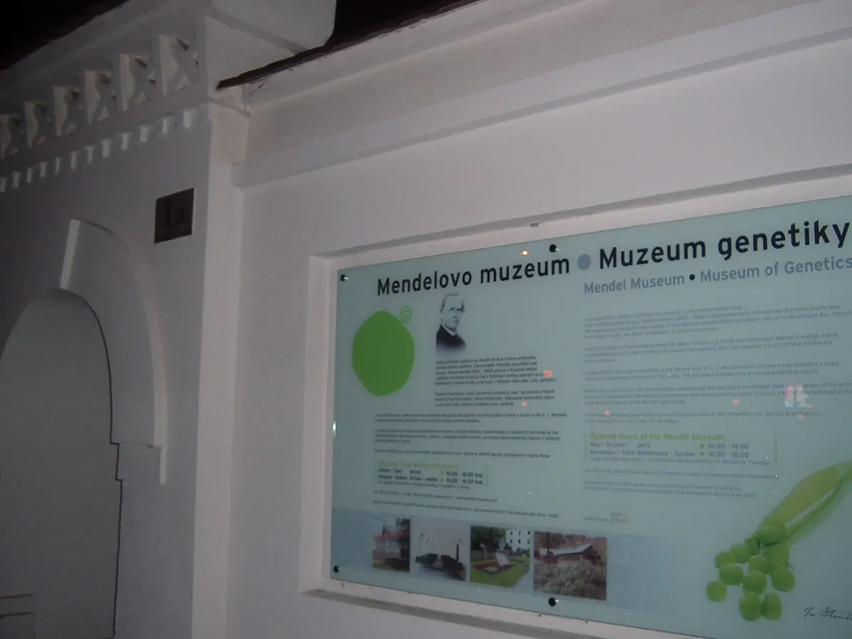 Afternoon: Mendel Museum