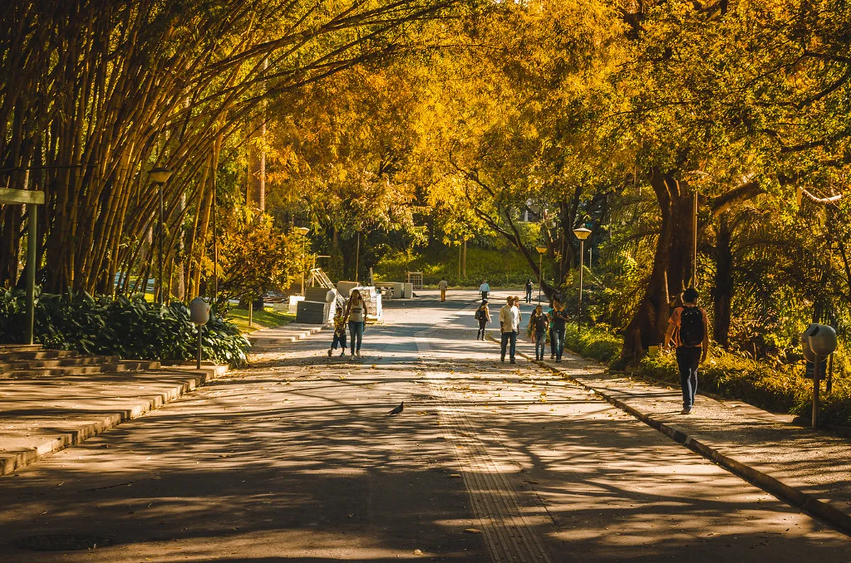 Afternoon: Parque Municipal