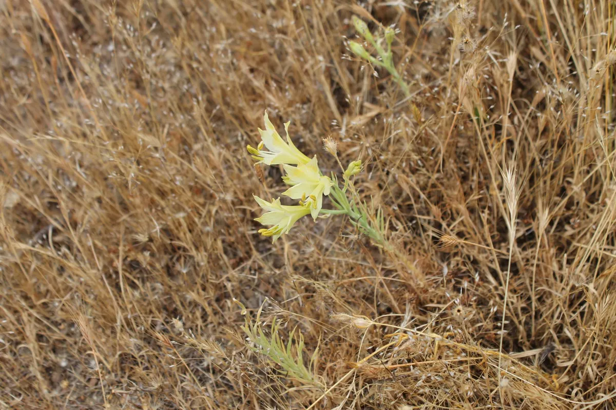 Morning: Parque Natural Gómez Carreño