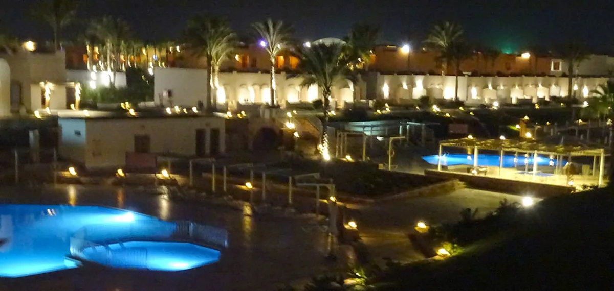 Evening: Return to Marsa Alam